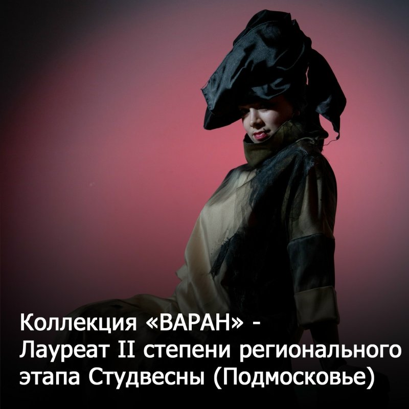 Наши студенты на региональном этапе Студвесны